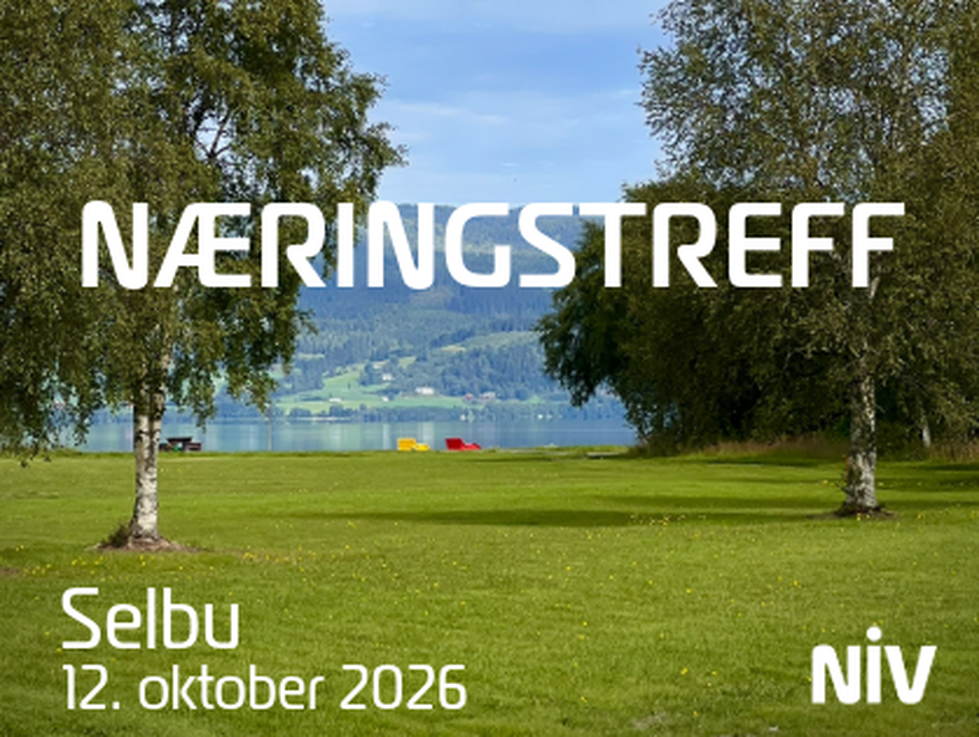 Næringstreff Selbu